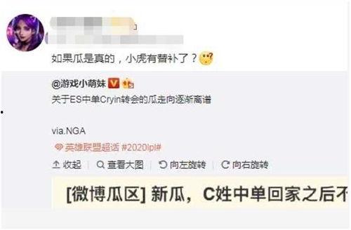 圈内大佬爆料小虎完整版,小虎完整版爆料内幕大起底  第2张